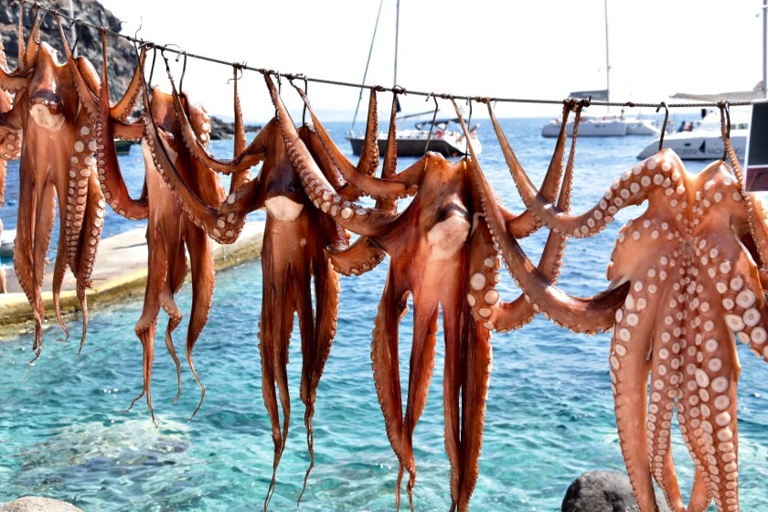 1DF4F9A8-0CAF-4381-8E17-E5BEFBD0E64B