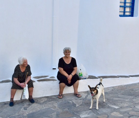 4AB8E688-6975-484D-A966-B84819C50503