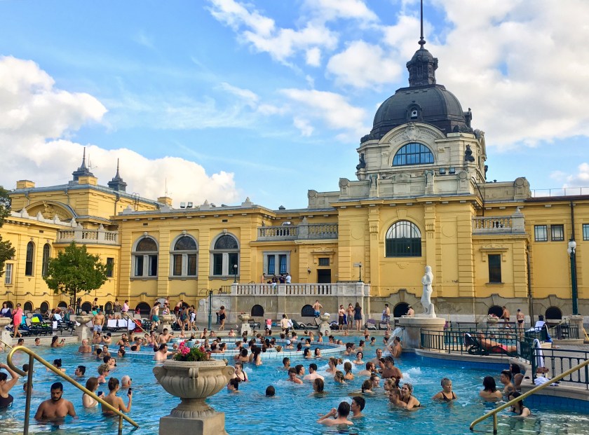 94284849-1649-4A3E-ACB9-BFC651BEE0C9