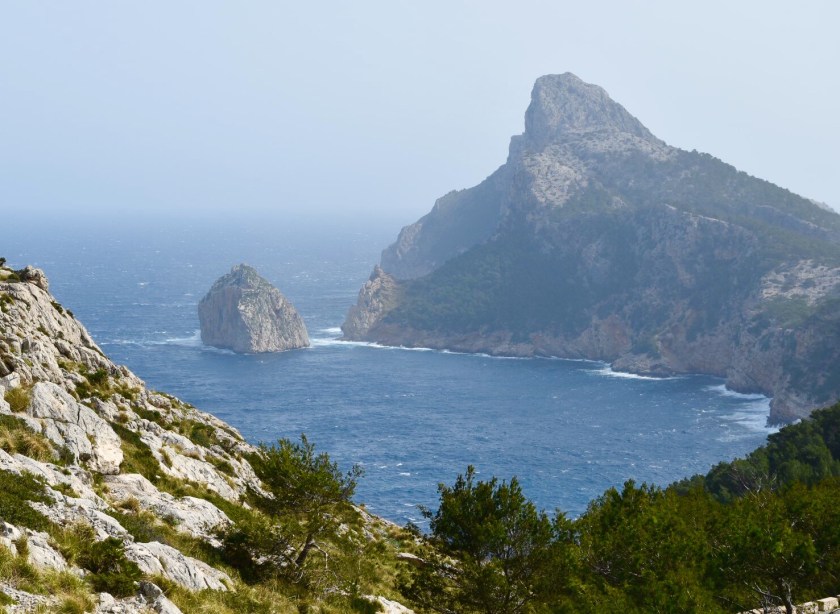 9A297EEA-4C90-4A26-BB5B-F4060F53FDF5