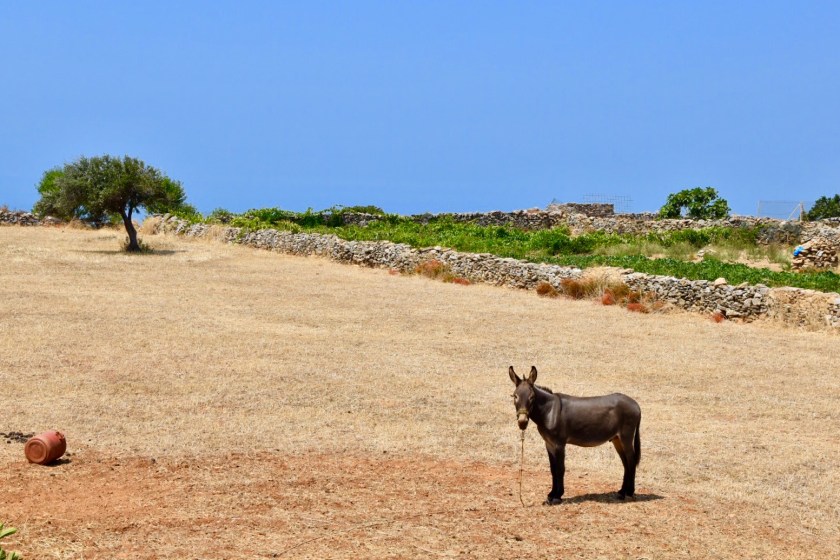 9DA96C22-BC79-4316-B8FB-24838073E9A2