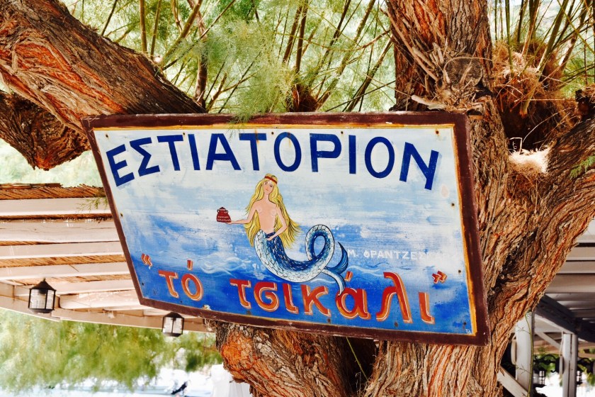 C82CBC51-050D-491D-8416-539BF3E89B77