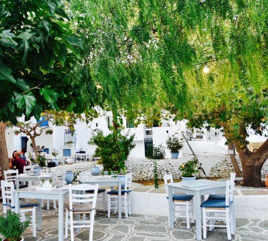 E1E790CE-C14A-4DB7-8991-6C097D442AAC