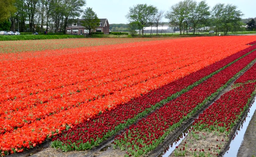 B5F0C6B8-6E62-4A23-A9D3-B31F3BE3DBE4